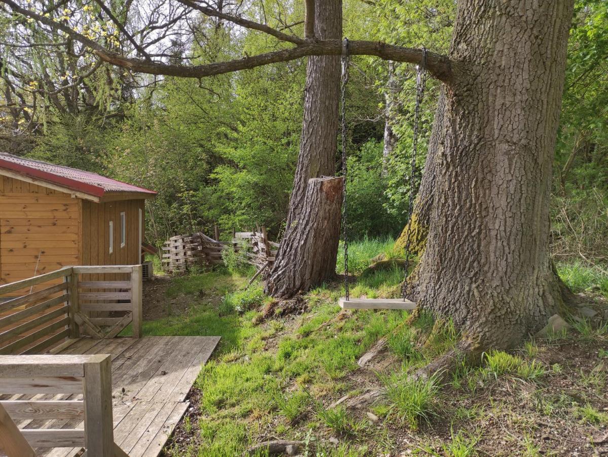 Villa Mobilni Dum à Dolní Dvořiště Extérieur photo