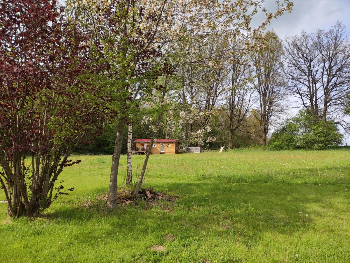 Villa Mobilni Dum à Dolní Dvořiště Extérieur photo